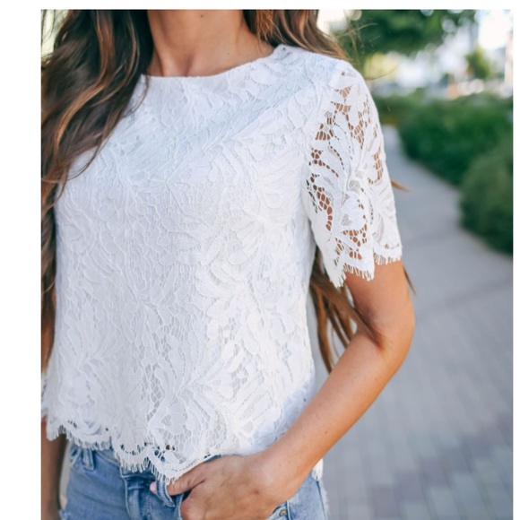 CAMILLA Lace Short Sleeve  Blouse - Picture 5 of 8